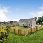 Rent 6 bedroom house in Scotland