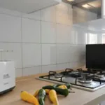 Rent 1 bedroom apartment in Milan