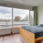 Huur 2 slaapkamer appartement van 47 m² in Oude Gracht-West