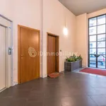 Rent 1 bedroom apartment of 41 m² in Torino