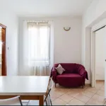 Rent 1 bedroom apartment of 35 m² in bologna