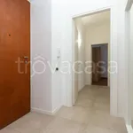 Rent 4 bedroom apartment of 100 m² in Torino