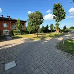 Rent 2 bedroom apartment of 71 m² in Bologna