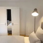 Rent 2 bedroom apartment of 60 m² in frankfurt