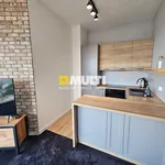 Rent 3 bedroom apartment of 63 m² in Szczecin