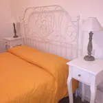 Rent 1 bedroom apartment in Rome