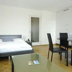 Rent 1 bedroom apartment of 377 m² in Zurich