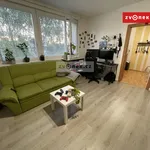 Rent 2 bedroom apartment of 45 m² in Zlín