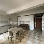 Rent 1 bedroom apartment of 35 m² in Carpi