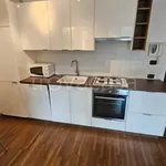 Rent 1 bedroom apartment of 47 m² in Cernusco sul Naviglio