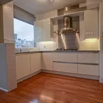 Rent a room of 184 m² in Den Haag