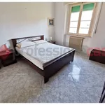 Rent 3 bedroom apartment of 70 m² in Livorno