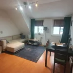 Rent 1 bedroom apartment of 48 m² in Neuss