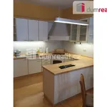 Rent 1 bedroom apartment of 45 m² in Prague