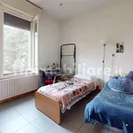 Rent 3 bedroom apartment of 65 m² in Bologna