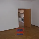 Rent 3 bedroom apartment of 63 m² in České Budějovice