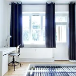 Rent a room of 50 m² in berlin