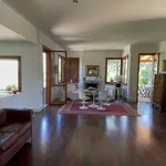 Rent 8 bedroom apartment of 200 m² in Firenze