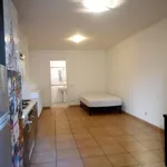 Rent 1 bedroom apartment of 35 m² in Roma