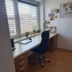 Rent 2 bedroom apartment of 57 m² in Brno