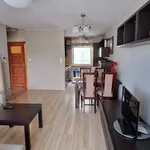 Rent 2 bedroom apartment of 54 m² in Wrocław