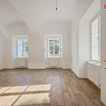 Rent 1 bedroom apartment of 30 m² in Studeněves