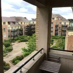 Rent 1 bedroom apartment in dublin