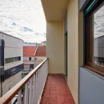 Rent 4 bedroom apartment in Coimbra