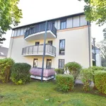 Rent 2 bedroom apartment of 64 m² in Chemnitz