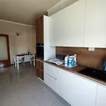 Rent 3 bedroom apartment of 180 m² in rome