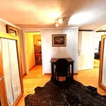 Rent 3 bedroom apartment of 100 m² in Turin