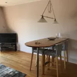 Rent 1 bedroom apartment of 53 m² in Den Haag