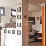 Rent 2 bedroom apartment of 60 m² in Viterbo