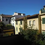 Rent 3 bedroom apartment of 110 m² in Firenze