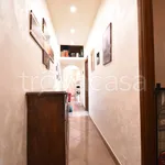 Rent 3 bedroom apartment of 85 m² in Torino