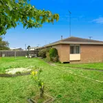 Rent 3 bedroom house in Whittington VIC 3219