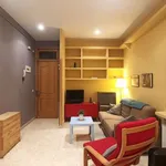 Rent 1 bedroom apartment of 42 m² in madrid