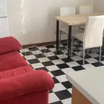 Rent 1 bedroom apartment of 45 m² in Bologna