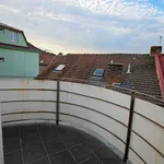 Rent 2 bedroom apartment in Brno