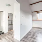 Rent 1 bedroom apartment of 60 m² in Leiden