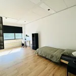 Rent a room of 16 m² in Brouwersmolen-Zuid