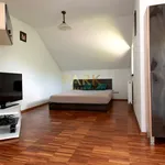 Rent 6 bedroom house of 300 m² in Rzeszów