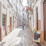 Rent 5 bedroom apartment in Coimbra