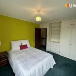 Rent 5 bedroom apartment in Dunedin