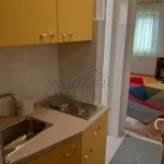 Rent 1 bedroom apartment in Grad Rijeka