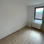 Maison de 69 m² avec 3 chambre(s) en location à Geraardsbergen