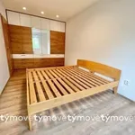 Rent 2 bedroom apartment in Pardubice