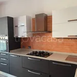 Rent 3 bedroom apartment of 55 m² in Genova