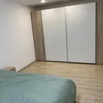 Rent 1 bedroom house in Hodonín