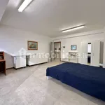 Rent 2 bedroom apartment of 35 m² in Pontedera